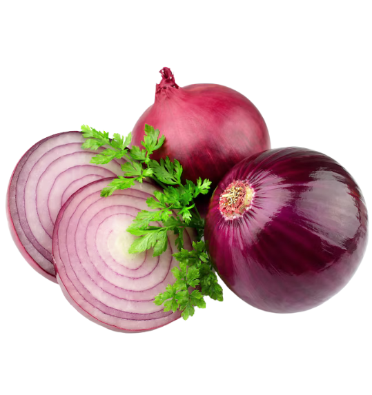 Onion banner 2