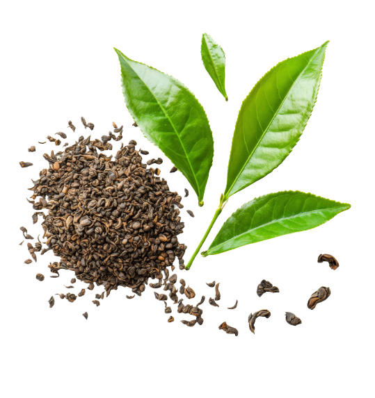 tea 321 image
