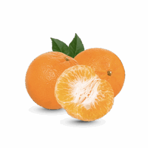 Fresh Orange